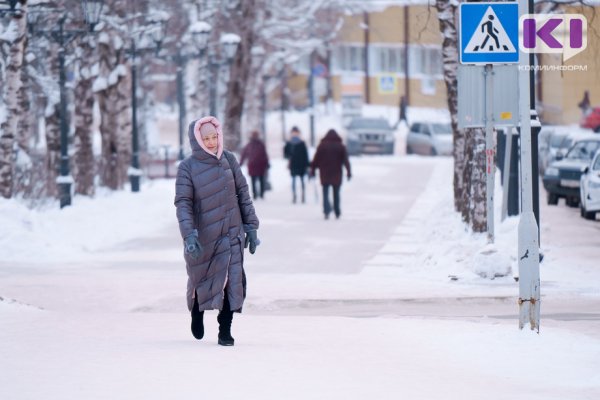 Прогноз погоды в Коми на 22 ноября: северный ветер и небольшой снег