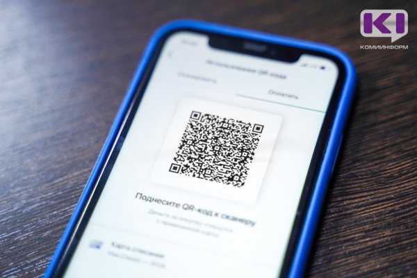 Обязательный QR-код уравняет всех в правах - спикер Госсовета Коми