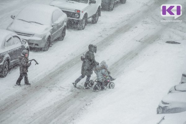 Прогноз погоды в Коми на 28 ноября: снегопад и -5°С