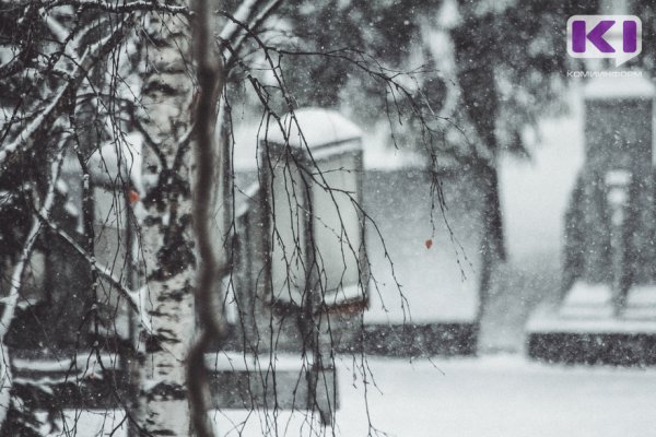 Прогноз погоды в Коми 30 ноября: снегопады, ветер порывами до 14 м/с
