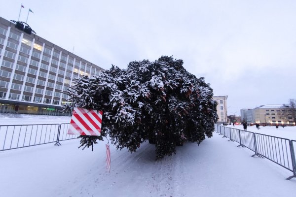 В столицу Коми прибыла новогодняя красавица 