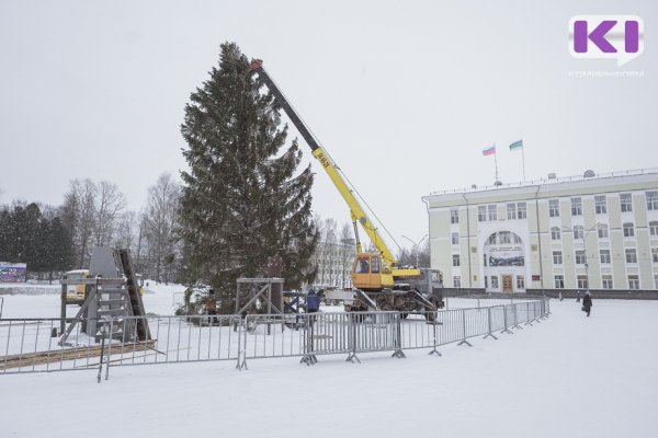 Елка из Корткеросского района украсила Стефановскую площадь столицы Коми