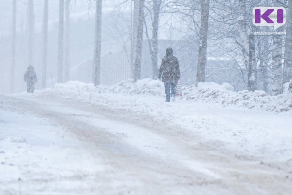 В южных районах Коми ожидается сильный снег