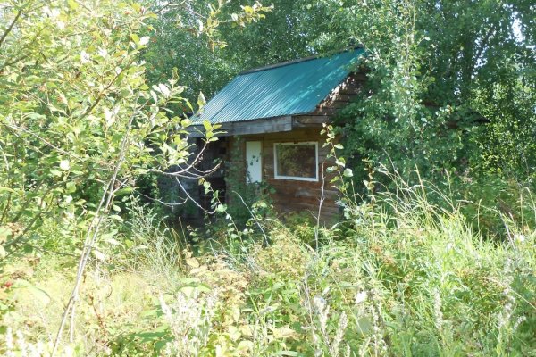 В Коми дачников оштрафовали за неиспользование земельных участков