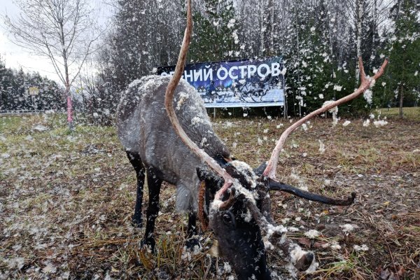 Отдохнуть от городской суеты в 