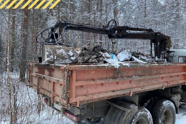 Решаем вместе: после жалоб в соцсетях в Усть-Вымском районе убрали несанкционированную свалку