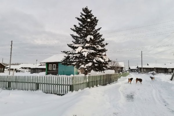 Жители удорской деревни опасаются возвращения 