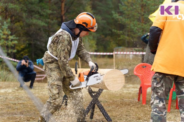 Минэкономразвития Коми выступило с предложением о расширении перечня лесных профессий