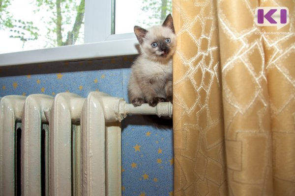 По каким адресам в Сыктывкаре ограничат подачу тепла и горячей воды 16-17 декабря