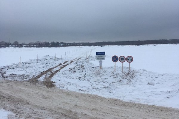 В местечке Алешино открыли автомобильную ледовую переправу 

