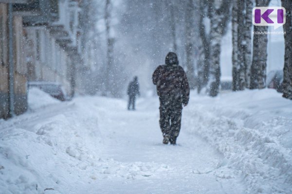 Сыктывкарские волонтеры 