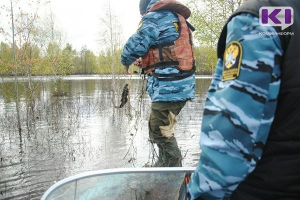 Стали известны подробности уголовного дела в отношении сотрудников Росрыболовства в Коми 