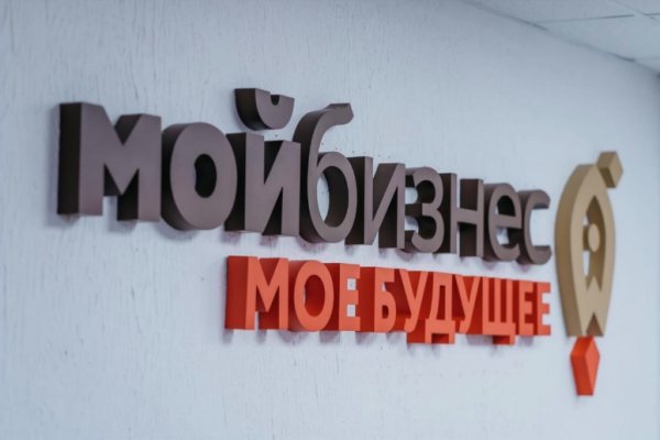 Жители республики узнали о преимуществах социального бизнеса в рамках бесплатного тренинга от 