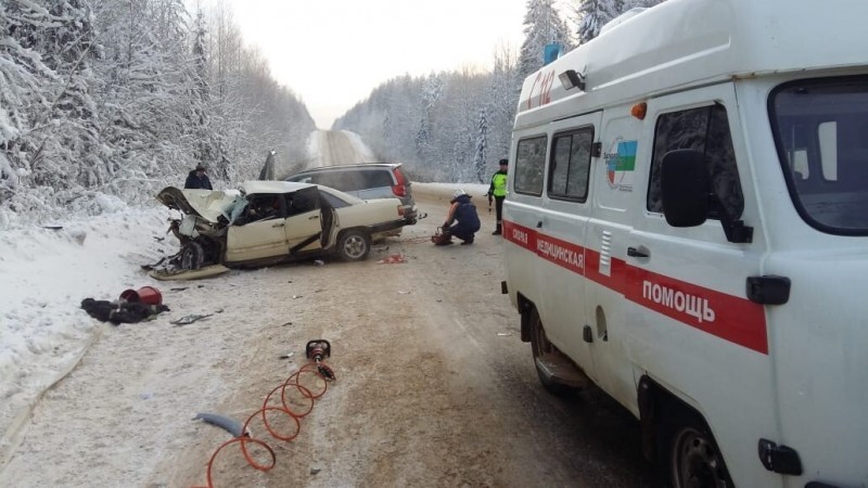 Для пострадавшей в смертельном ДТП под Сыктывкаром многодетной семьи объявлен сбор средств