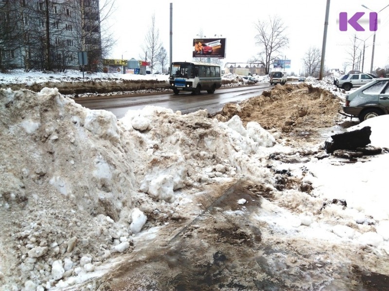 В Сыктывкаре обсудят перспективы рекультивации свалки в Дырносе