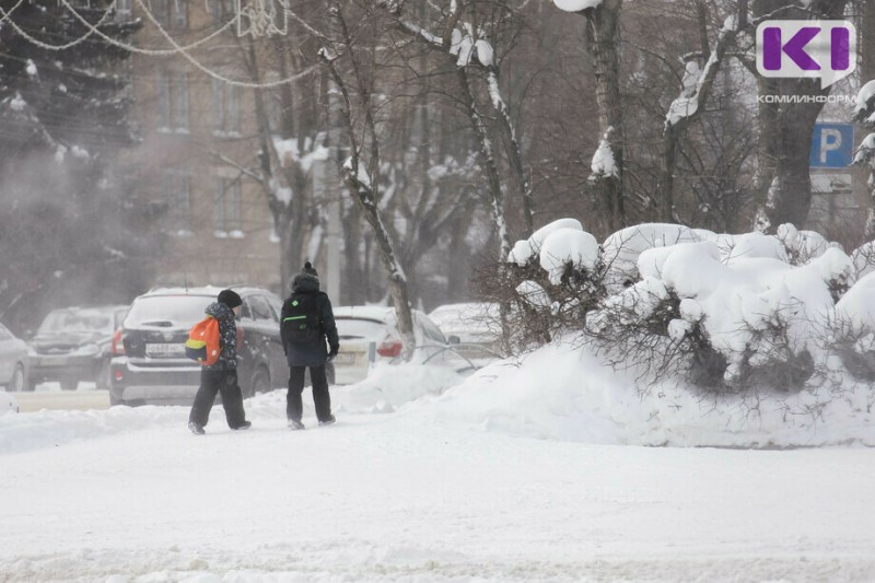 Погода в Коми на 12 января: ветер и -20°С