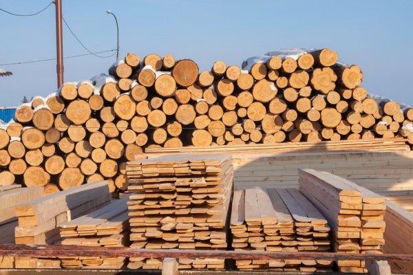 Еще один инвестпроект Коми включен в федеральный список приоритетных инвестиционных проектов в области освоения лесов