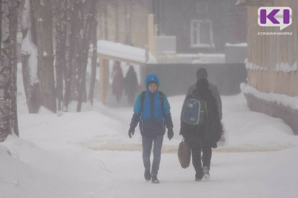 Погода в Коми на 17 января: туман, небольшой снег и -9°С