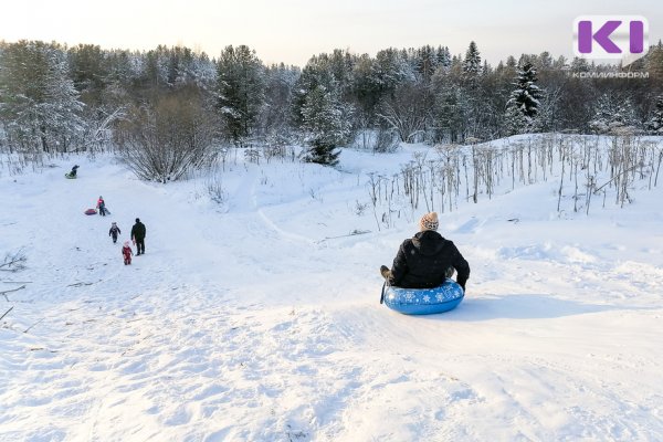 Погода в Коми 23 января: небольшой снег, гололёд,  -7...-12°С