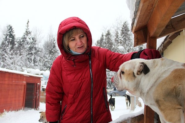 Мэр Сыктывкара высказалась за высокие штрафы за самовыгул собак и отказ от питомца