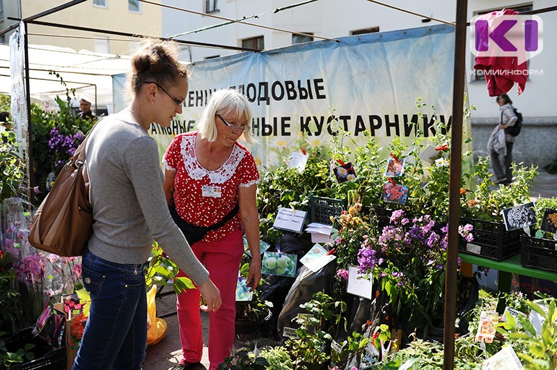 В Коми трем онлайн-магазинам по продаже саженцев и семян объявлены предостережения