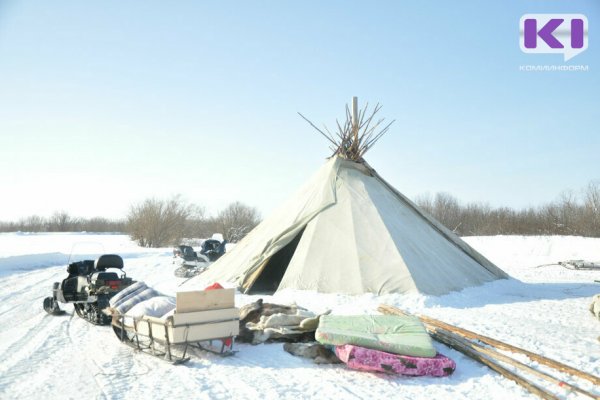 В Коми профессиональных оленеводов будут поощрять материально