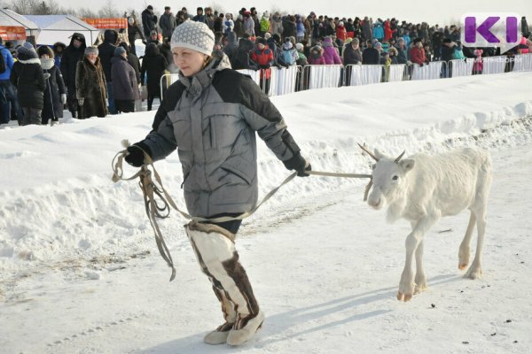 На переговорах с Евросоюзом поднимут вопрос экспорта оленины из Коми 