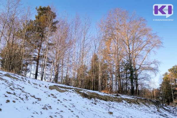 Погода в Коми 10 февраля: небольшой снег, на юге 0...-5, на севере -6...11°С