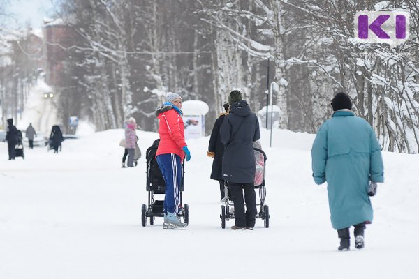 Погода в Коми 14 февраля: южный ветер, небольшой снег