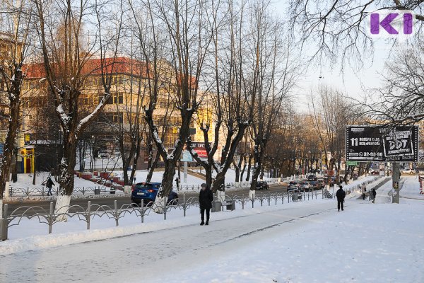 Погода в Коми 19 февраля: гололед, порывистый ветер, днем -4...+1°С