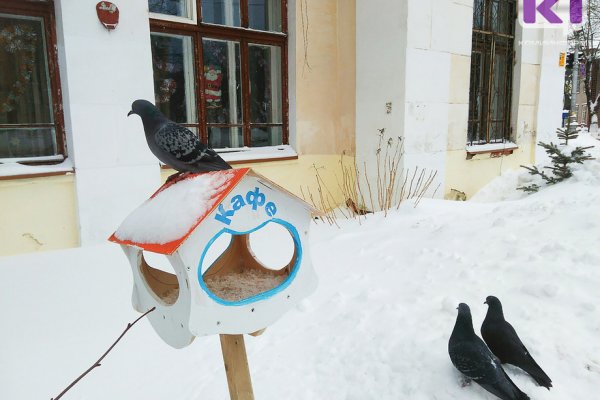 Погода в Коми 22 февраля: южный ветер до 10 м/с, -1...-6°С