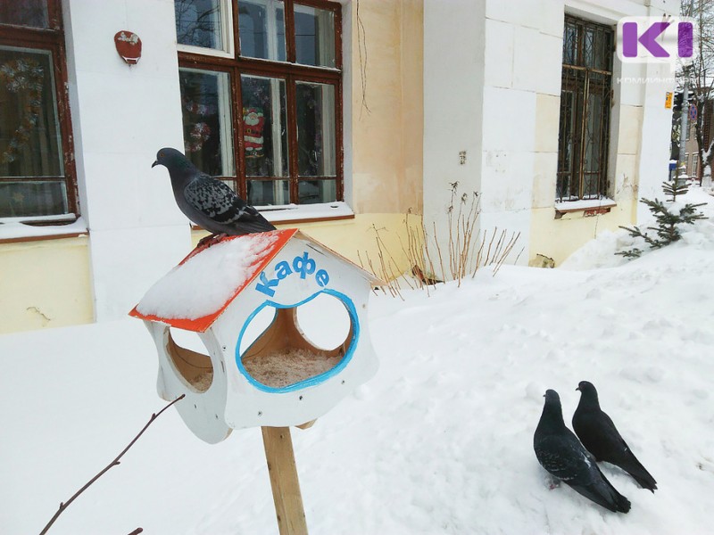 Погода в Коми 22 февраля: южный ветер до 10 м/с, -1...-6°С