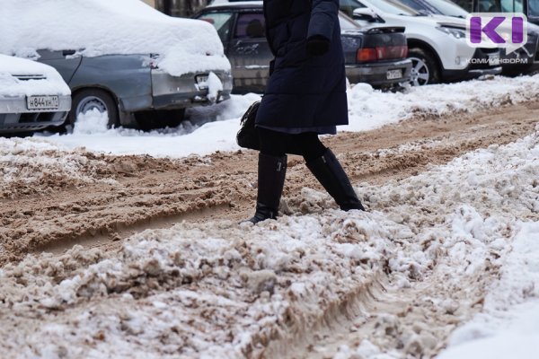 Сыктывкарцам необходимо принять, что за услугу вывоза снега надо платить - мэрия 
