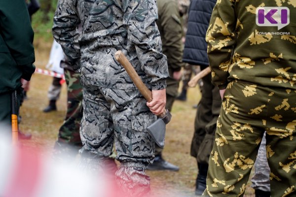 В Сысольском районе погиб лесник 