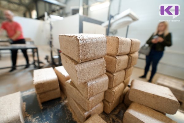 В правительстве Коми прорабатывают вопрос ускорения перевода части котельных в республике на биотопливо