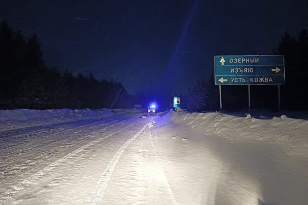 Ночью под Печорой неустановленный водитель насмерть сбил женщину