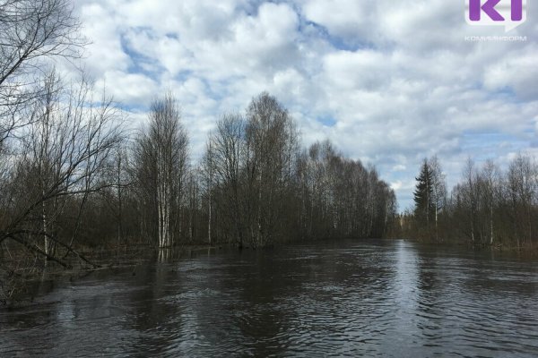 За уровнем воды на Печоре будет следить видеокамера на солнечных батареях