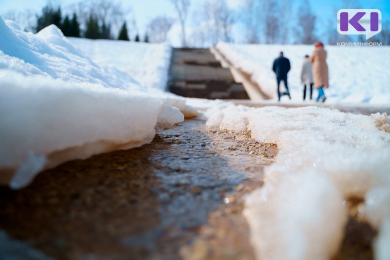 Погода в Коми 2 апреля: туман, западный ветер, +2...-3°С