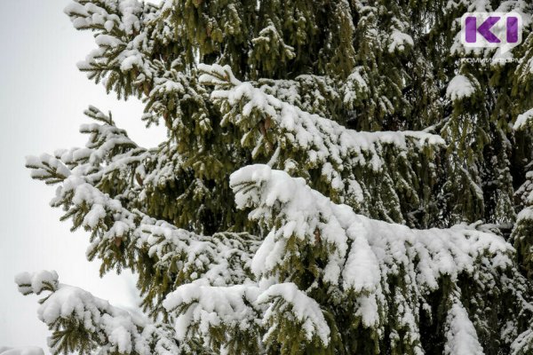 Погода в Коми 4 апреля: снег, местами сильный