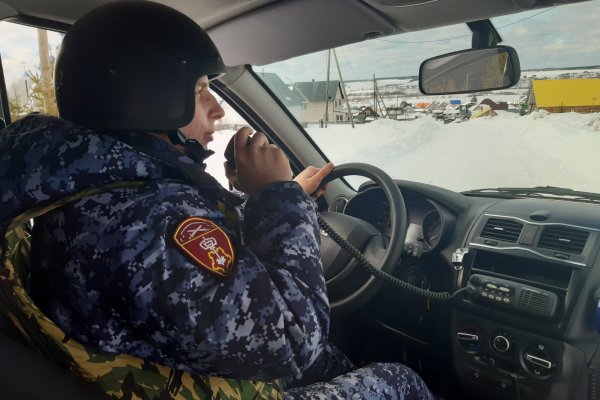 Росгвардейцы Коми за неделю задержали двух магазинных воришек и буйного посетителя гостиницы