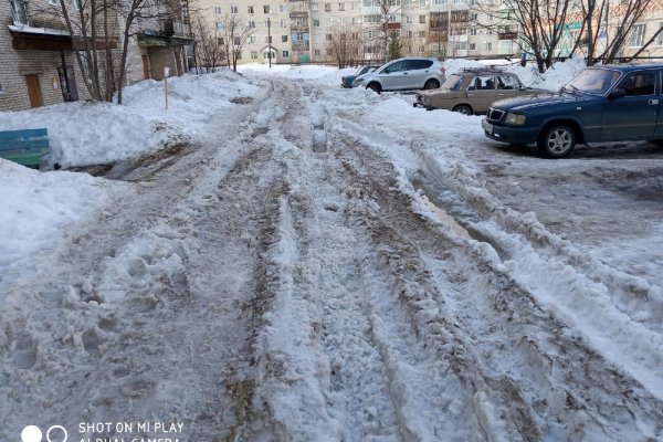 Троицко-Печорский отряд 