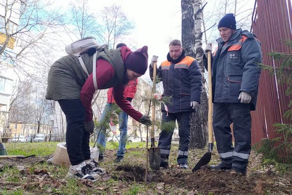 В Коми филиале 