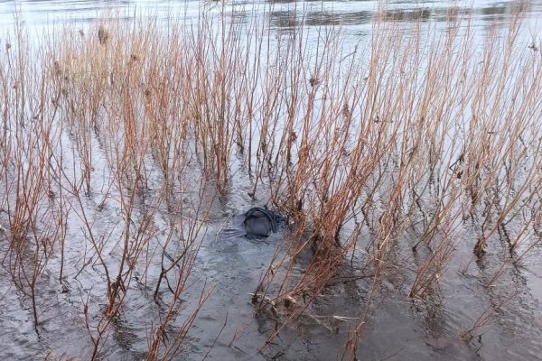 В Ношуле обнаружено тело утонувшего мужчины