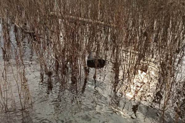 В Ношуле обнаружено тело второго утонувшего мужчины 