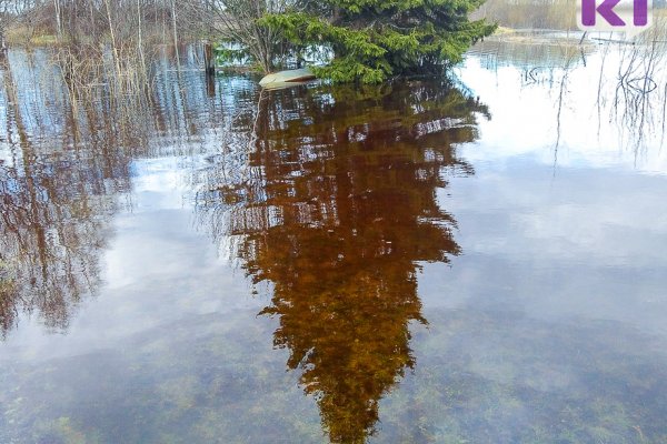 В ближайшие сутки возможно начало подтопления придомовых территорий в селе Филиппово - ГУ МЧС по Коми