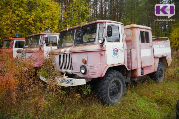 В Удорском районе из-за грозы загорелся лес  