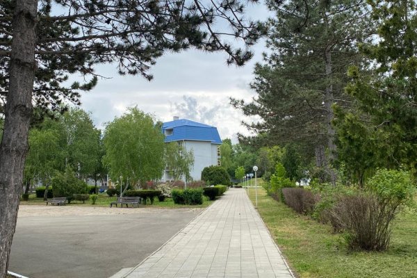 В этом году в лагере 