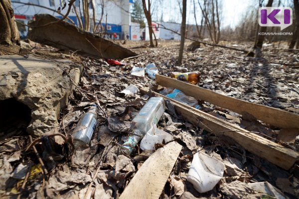 Активисты Сыктывкара приглашают жителей города на большой субботник