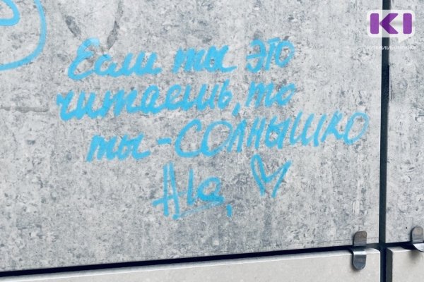 Мэрия Сыктывкара: 