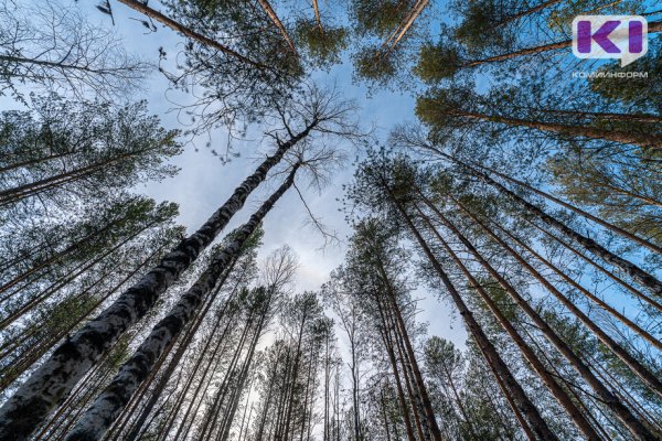 В Прилузье на скамье подсудимых оказался 